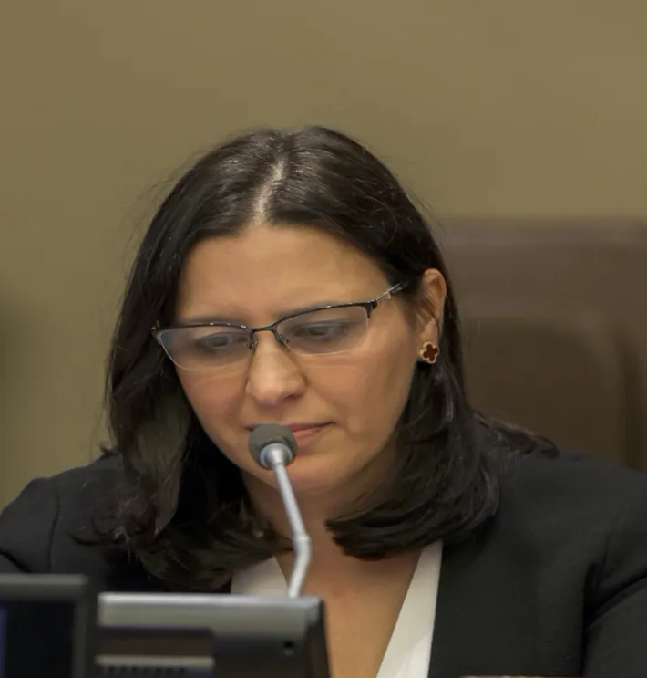 Ebru A. Gencer Aspegren