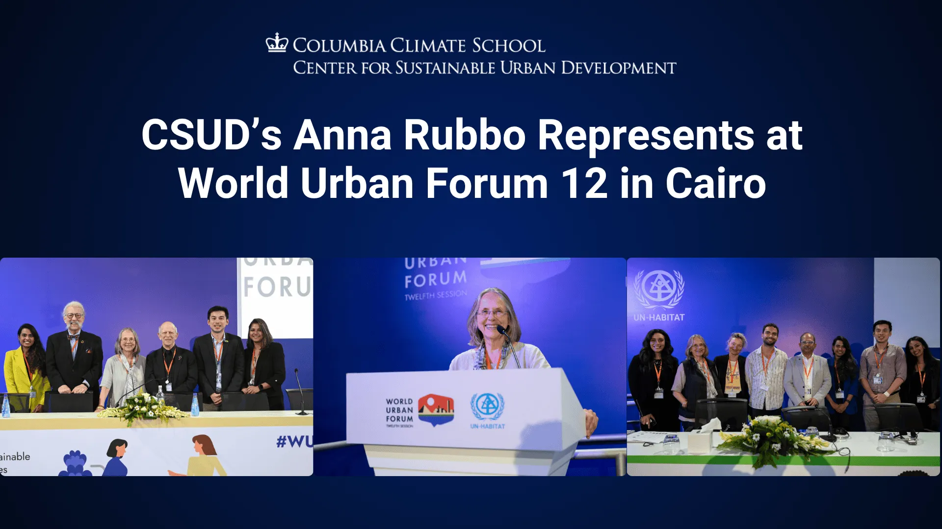 CSUD’s Anna Rubbo Represents at World Urban Forum 12 in Cairo
