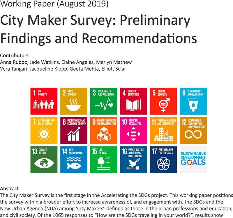 City Maker Survey: Preliminary Findings and Recommendations